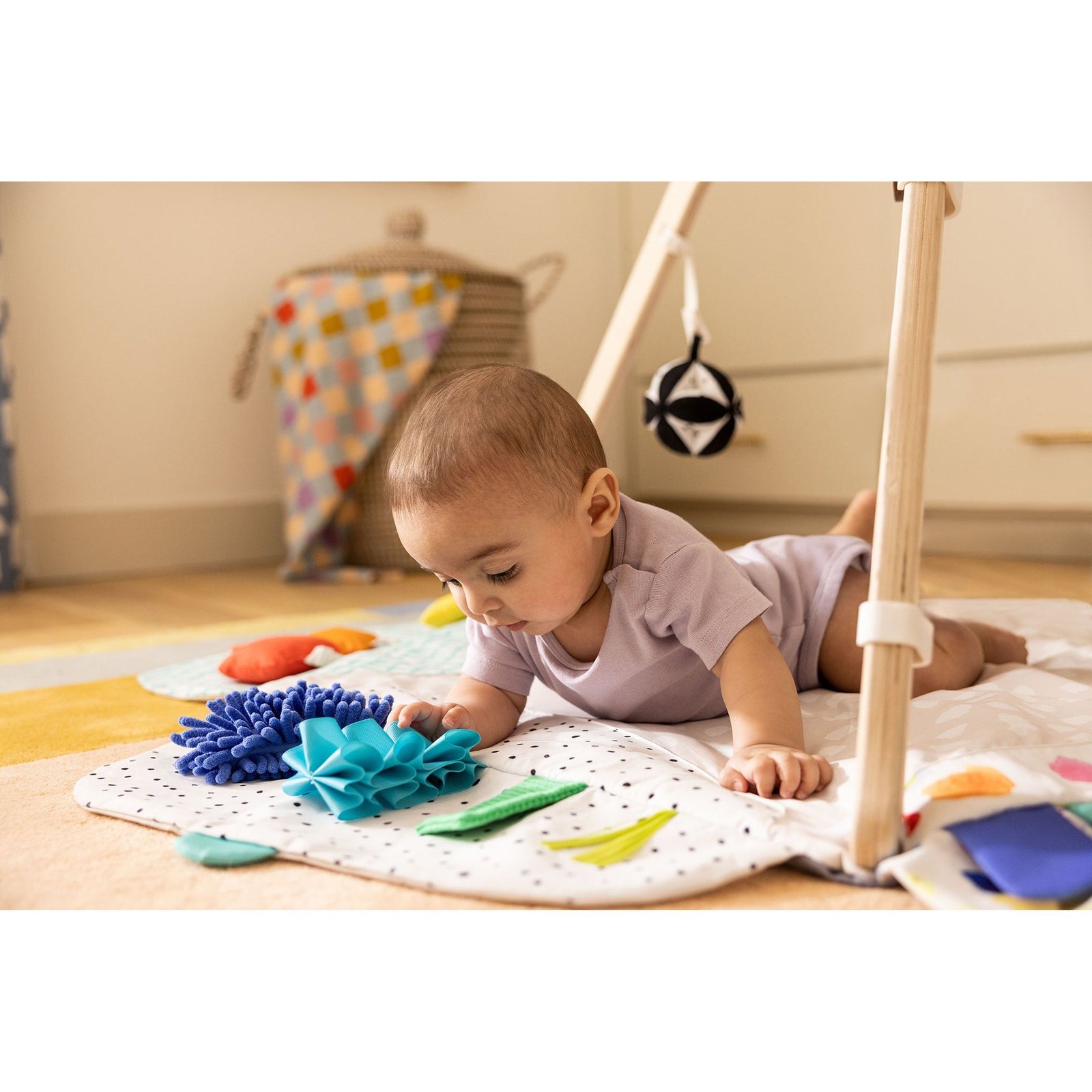The Play Gym