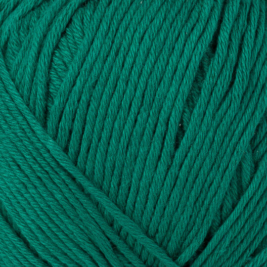 Bella Shawl Collar Cardigan