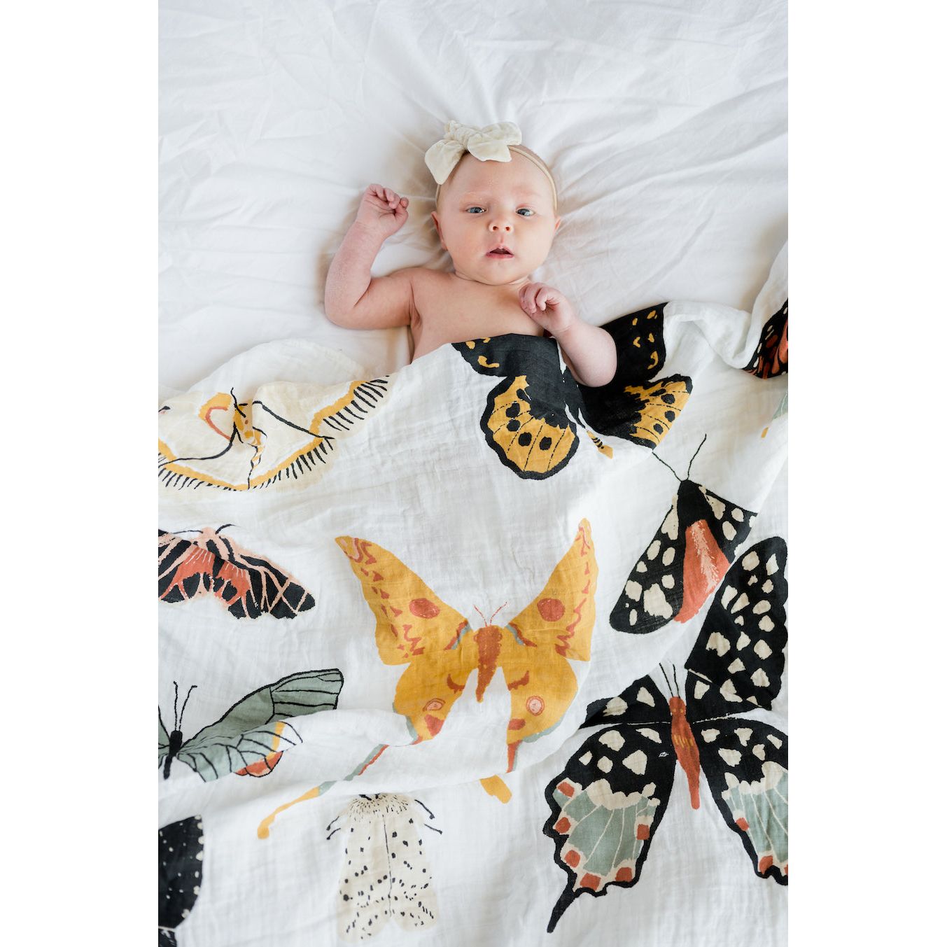 Butterfly Collector Swaddle