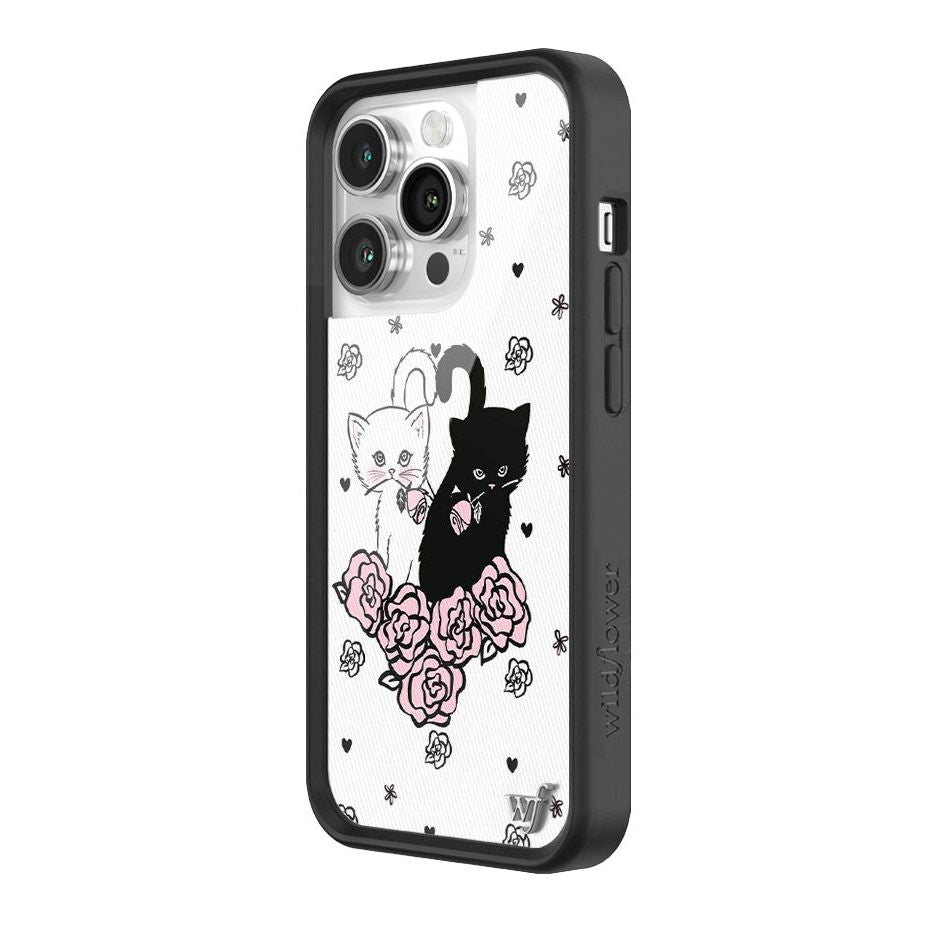 Kittens iPhone Case