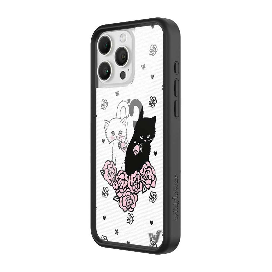 Kittens iPhone Case
