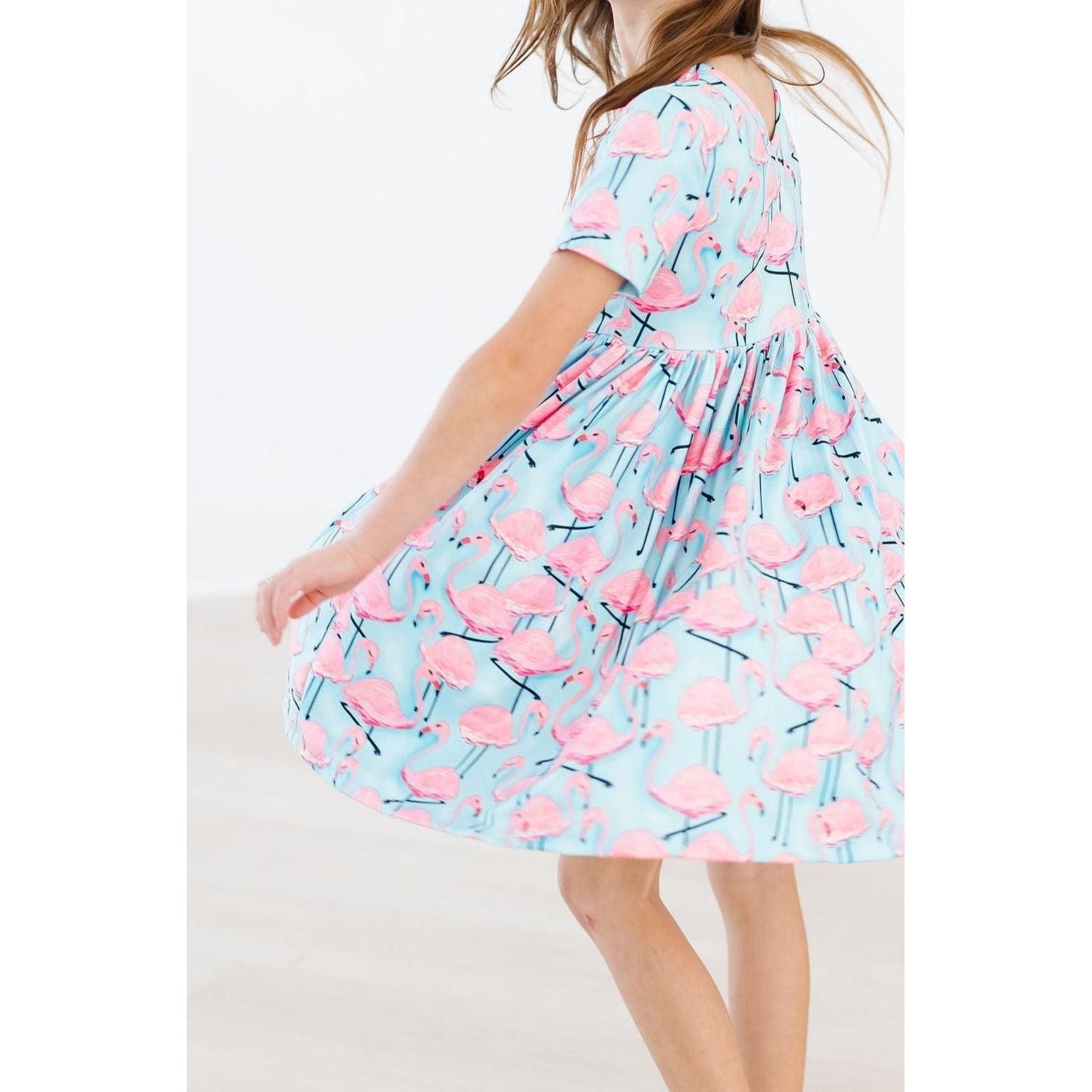 Pretty in Pink Flamingos S/S Pocket Twirl Dress