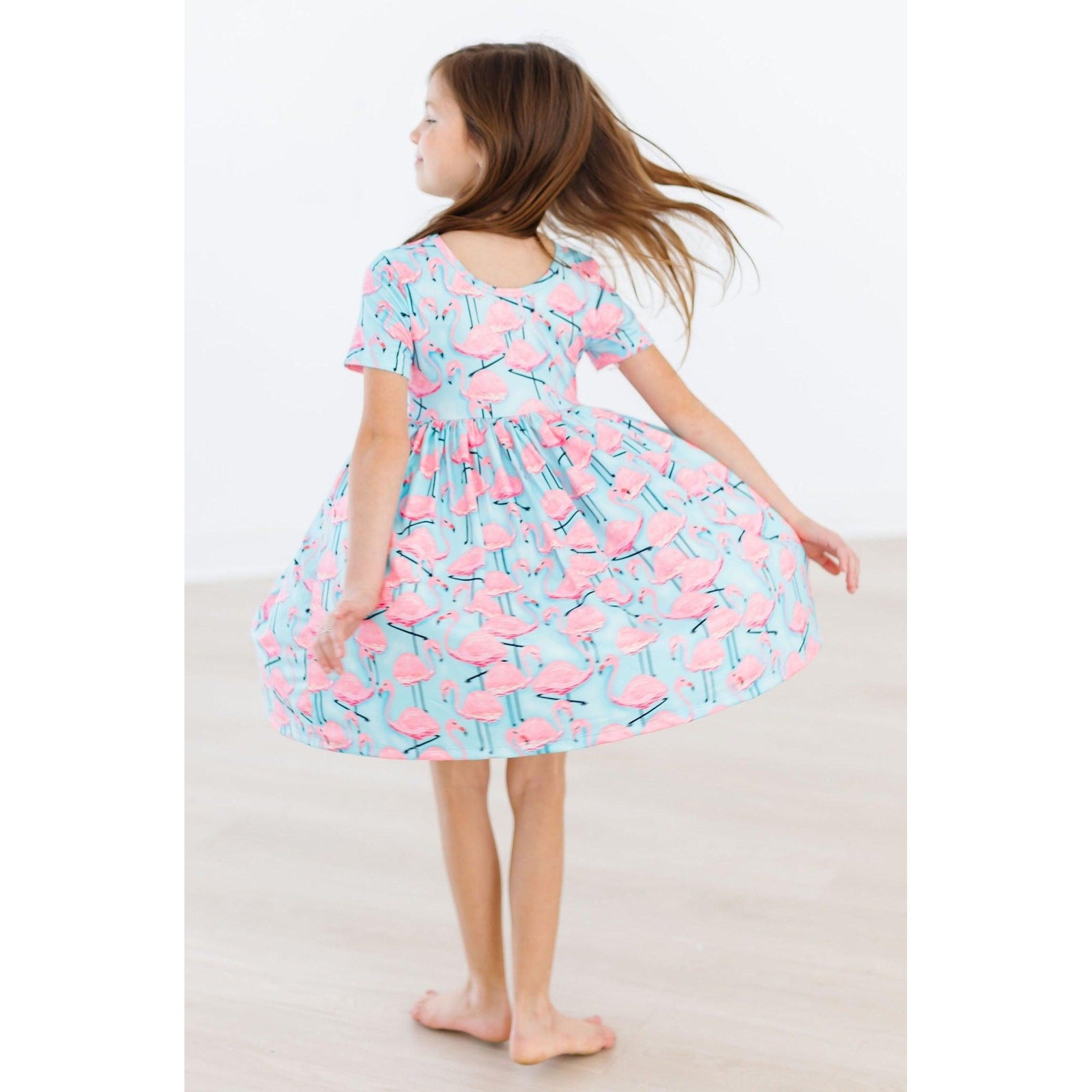 Pretty in Pink Flamingos S/S Pocket Twirl Dress