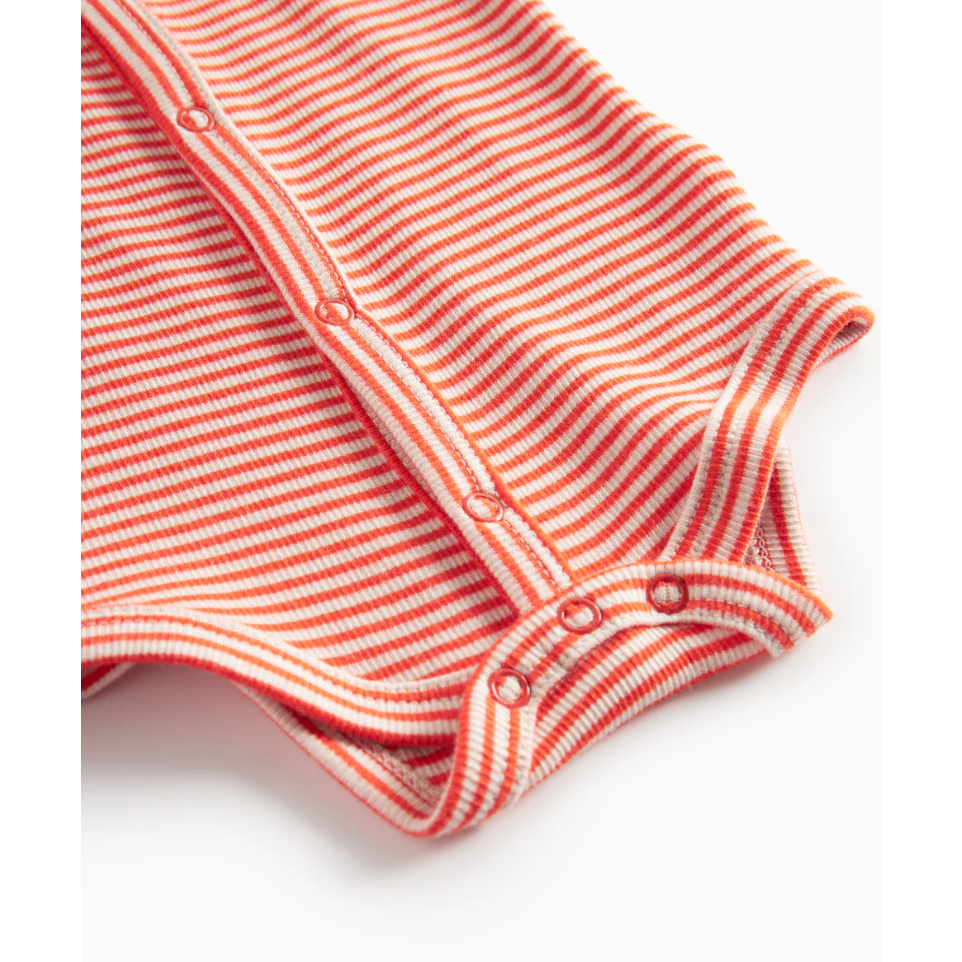 bruno, bodystocking - red stripe