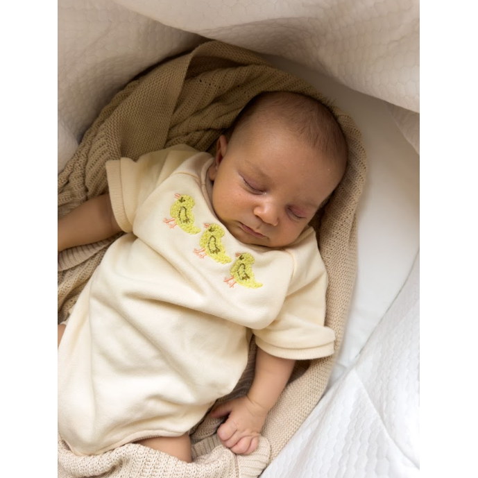 3 Little Ducks Bubble Romper