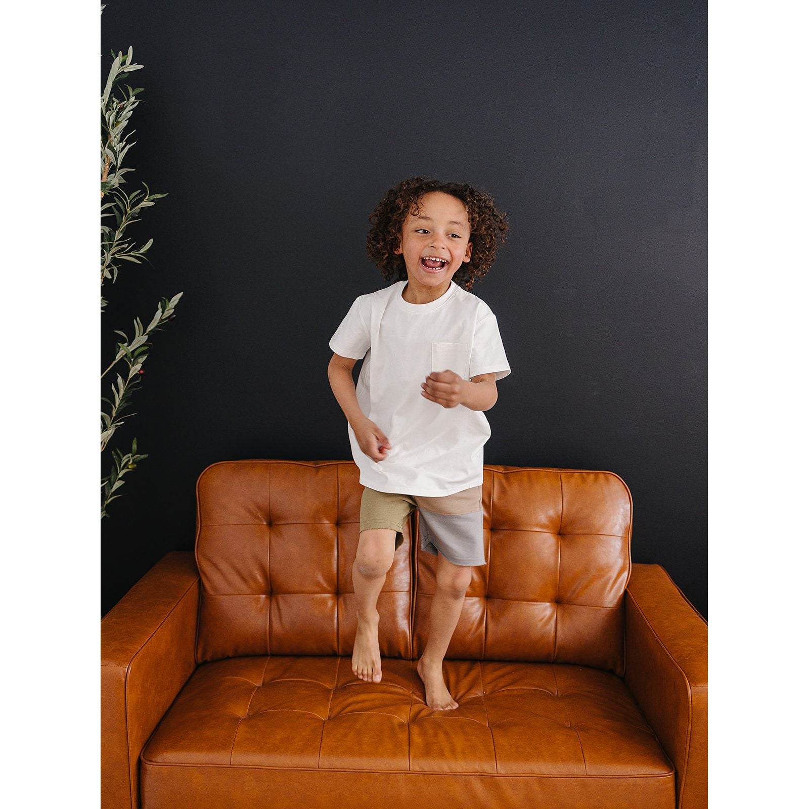Lux Shorts