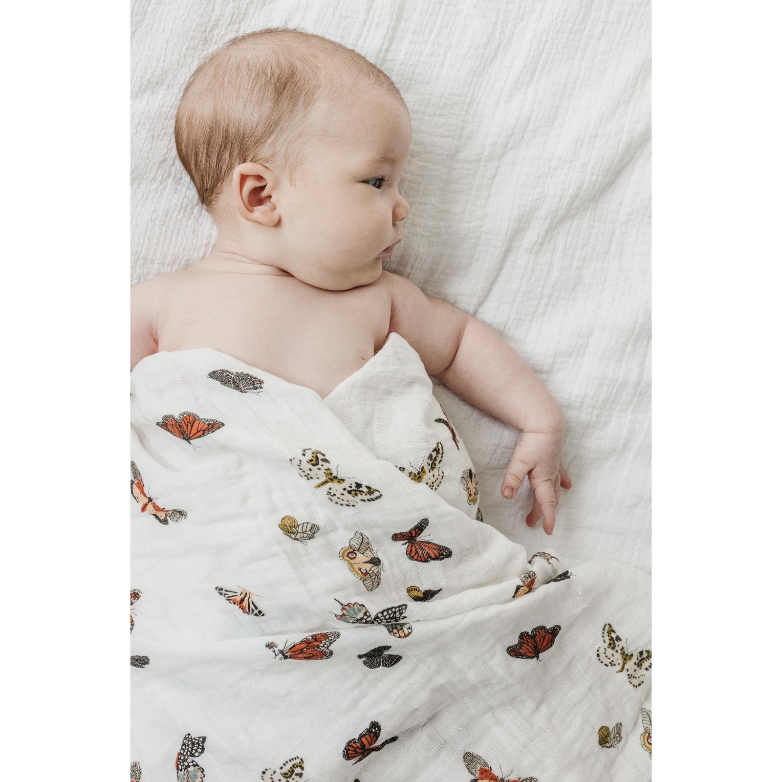 Butterfly Migration Swaddle