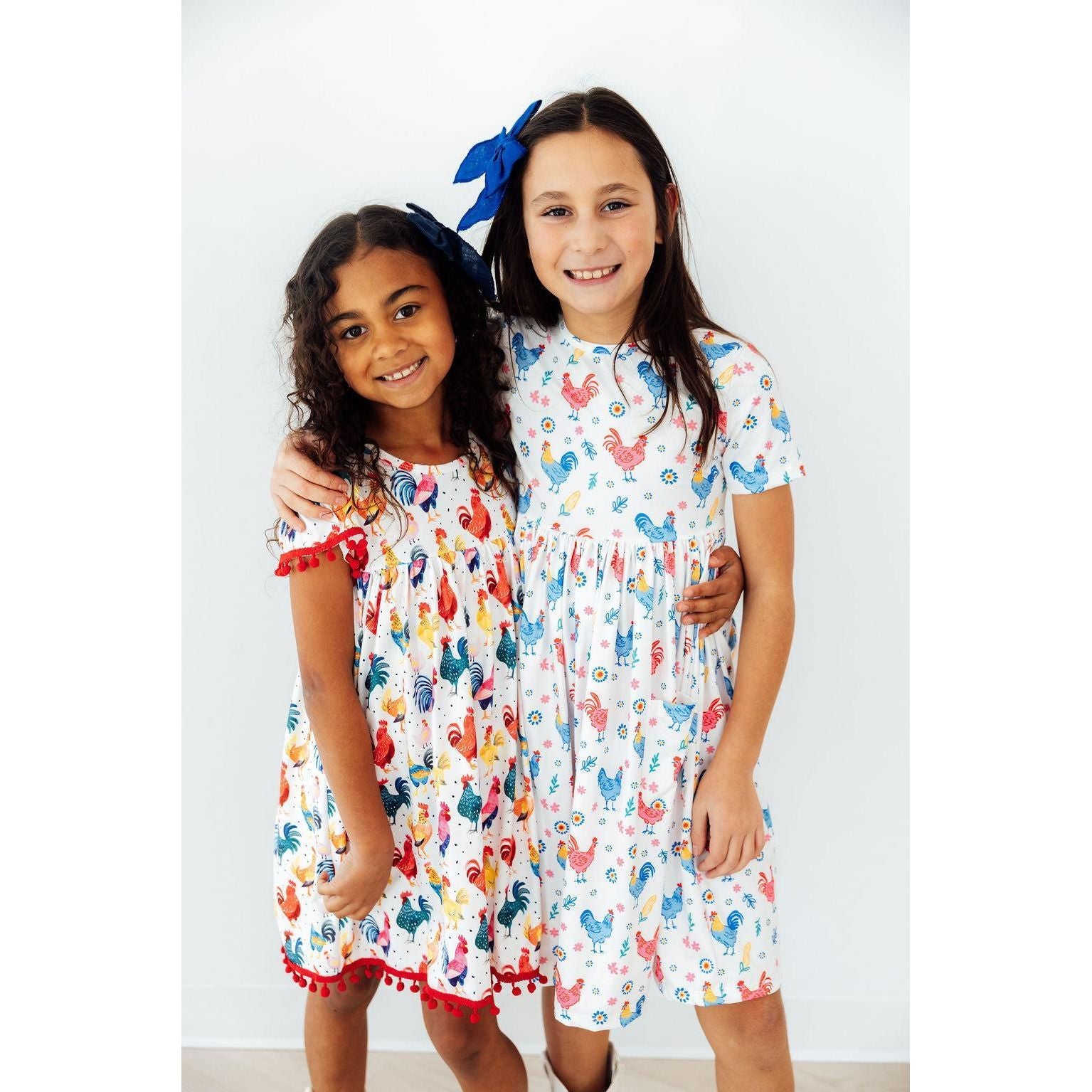 Rainbow Roosters S/S Pocket Twirl Dress