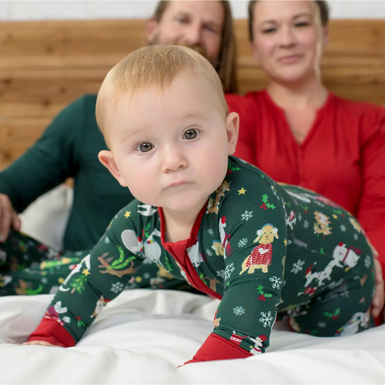 holiday hounds bamboo viscose zippy