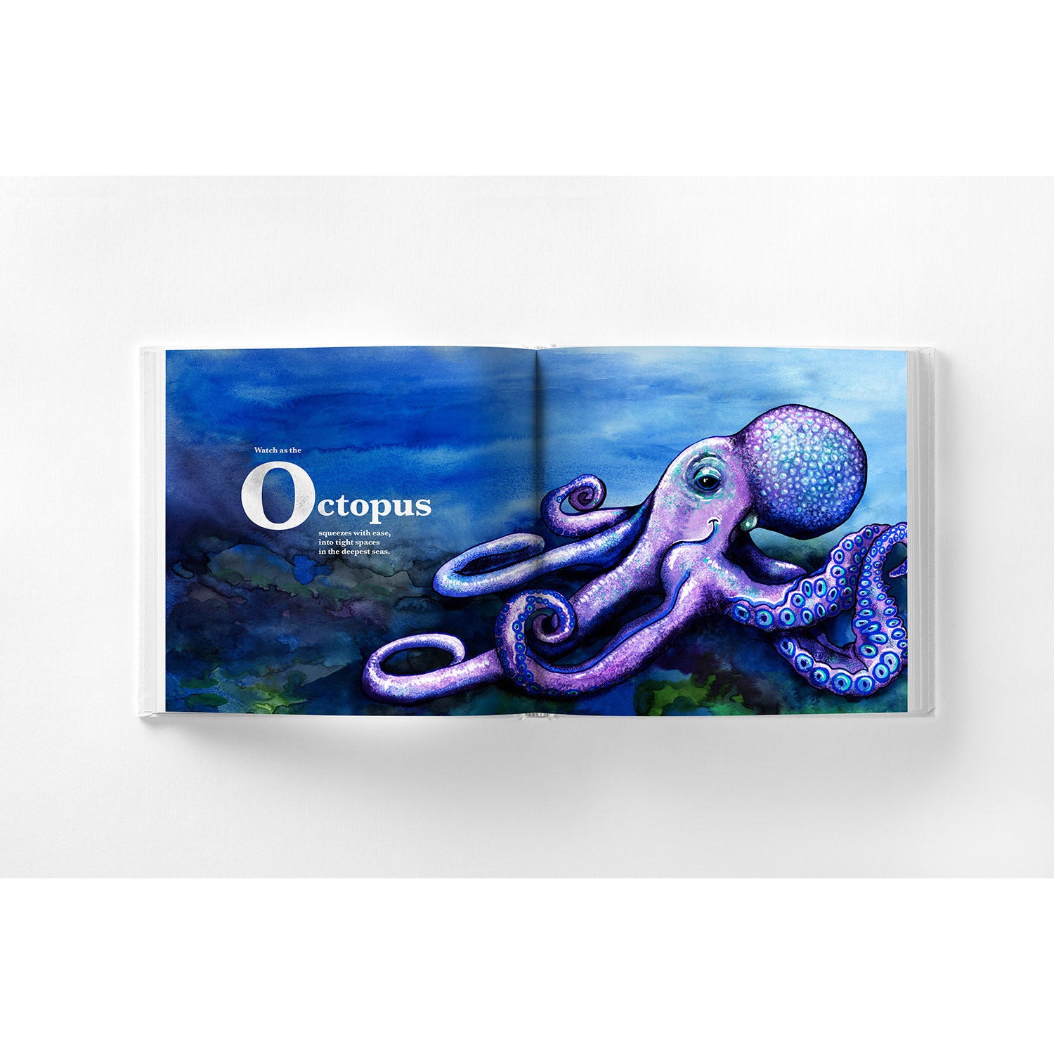 ABCs at the zoo book