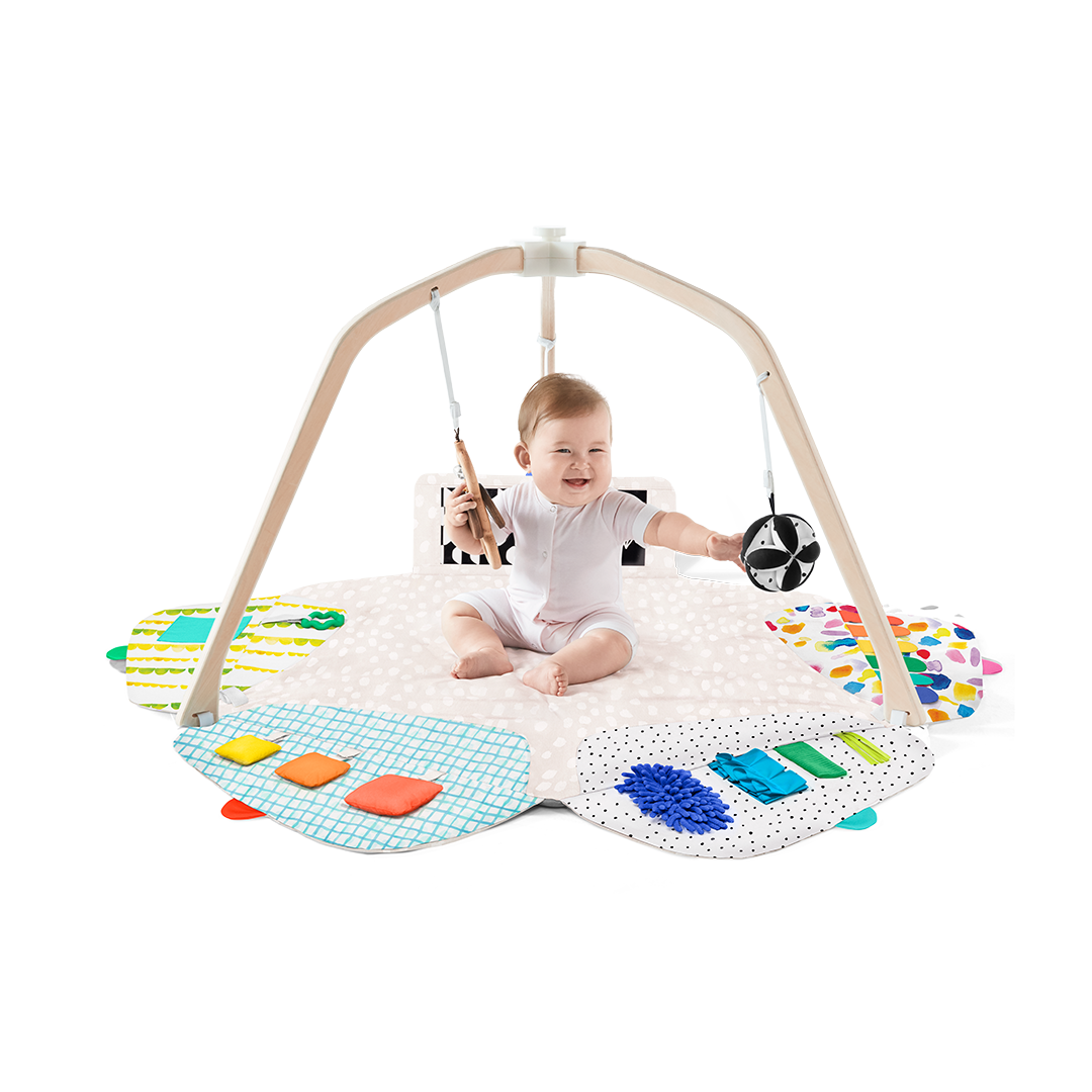 The Play Gym