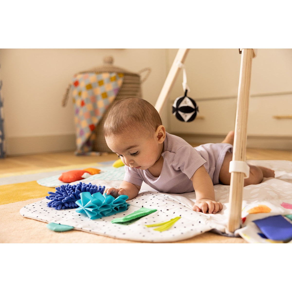 The Play Gym