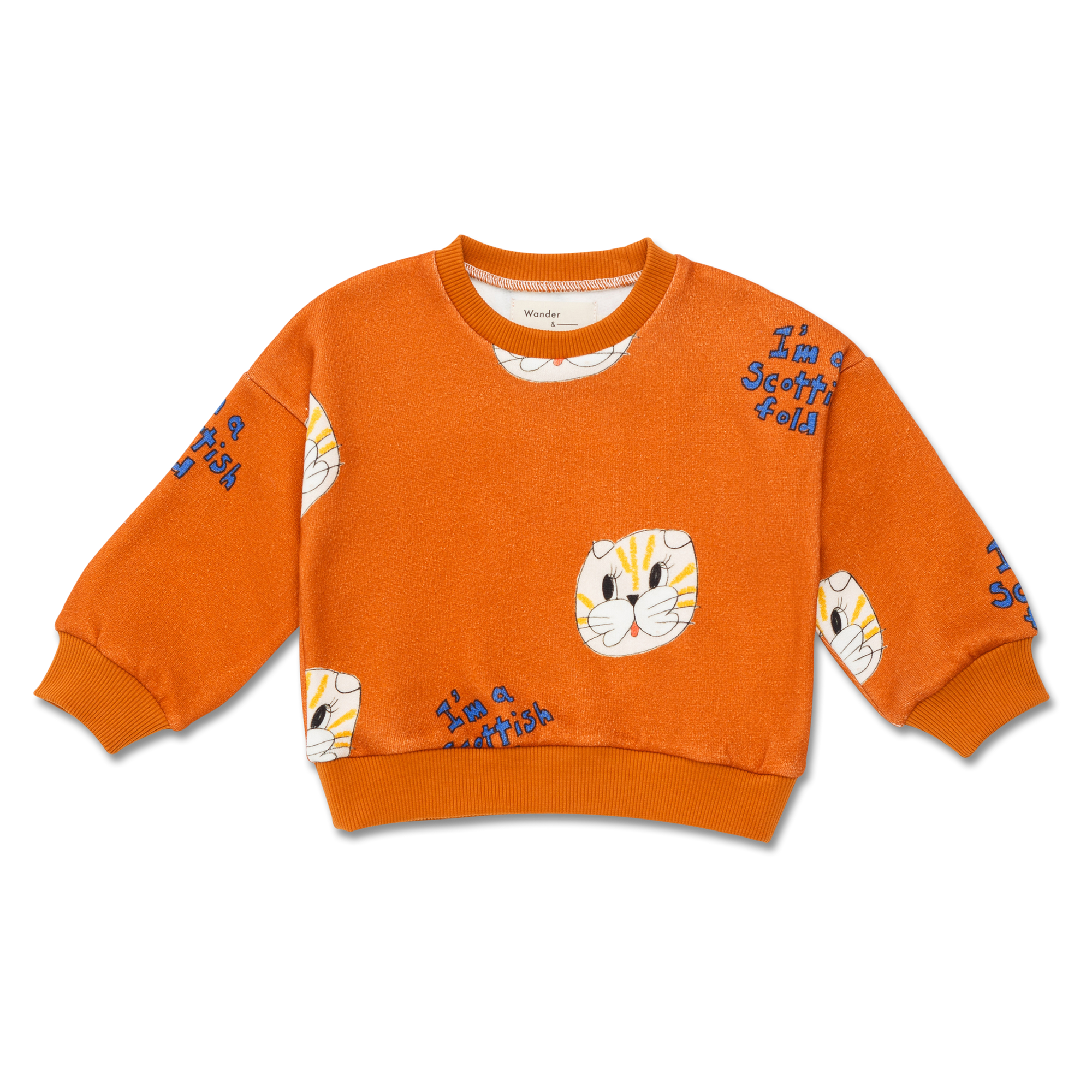 baby sweatshirt | chesnut cat