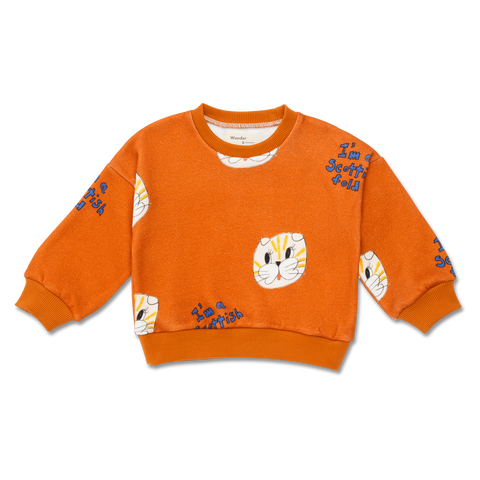 baby sweatshirt | chesnut cat