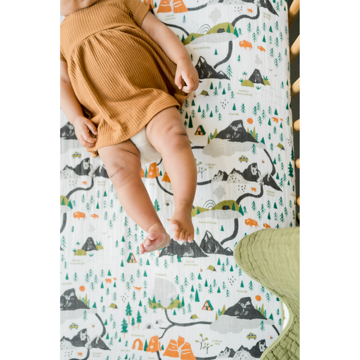 National Parks Crib Sheet