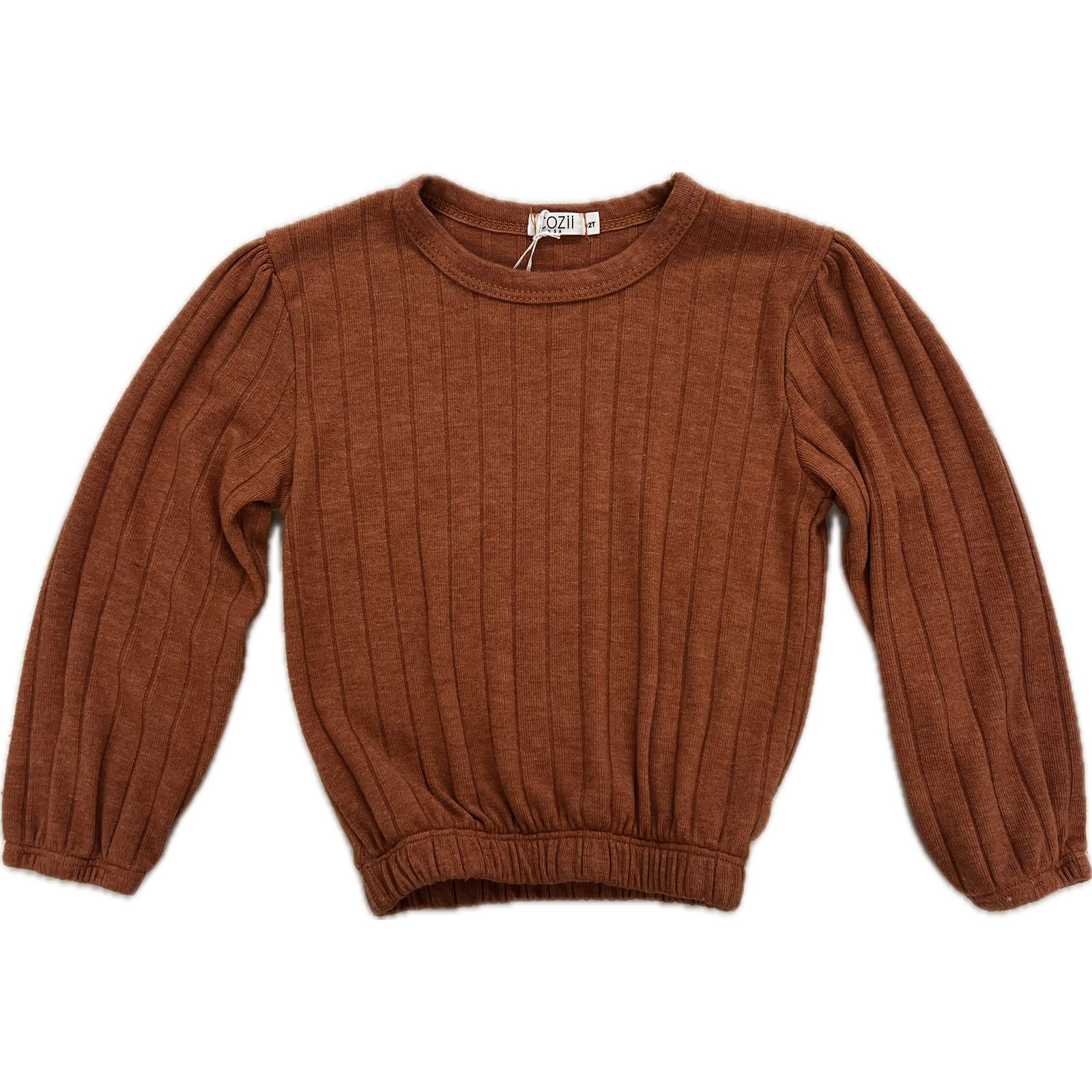 long sleeve balloon top | rust