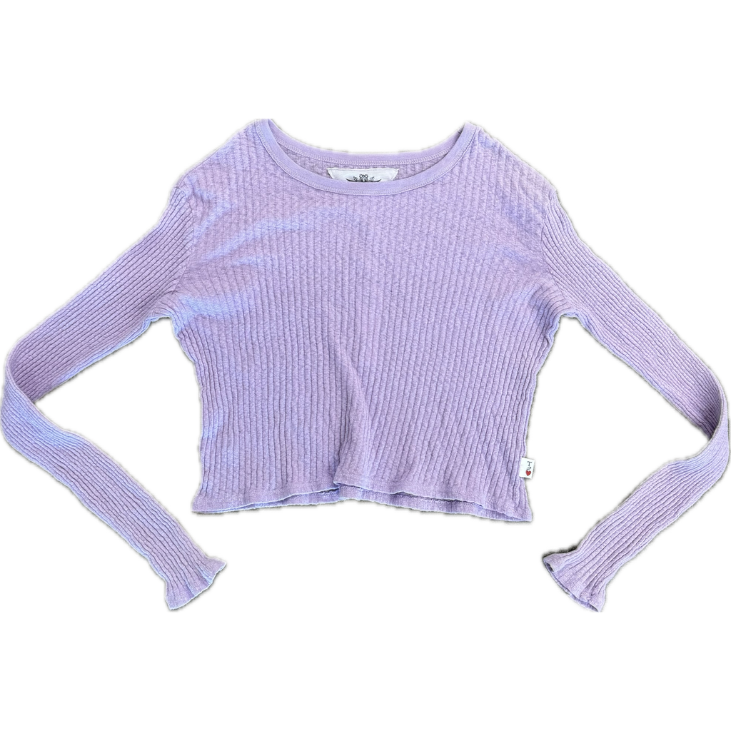 long sleeve crop top | violet