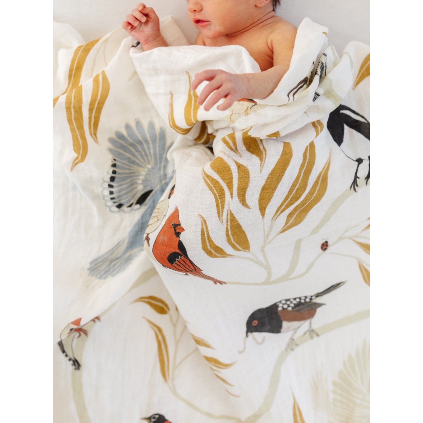 For the Birds Swaddle