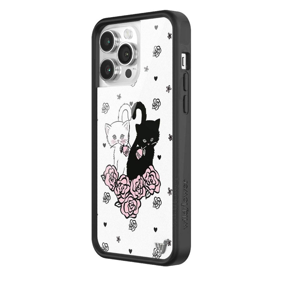 Kittens iPhone Case