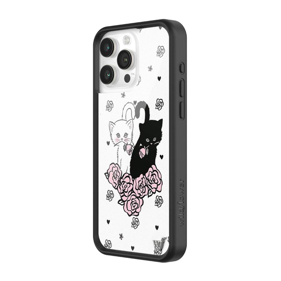 Kittens iPhone Case