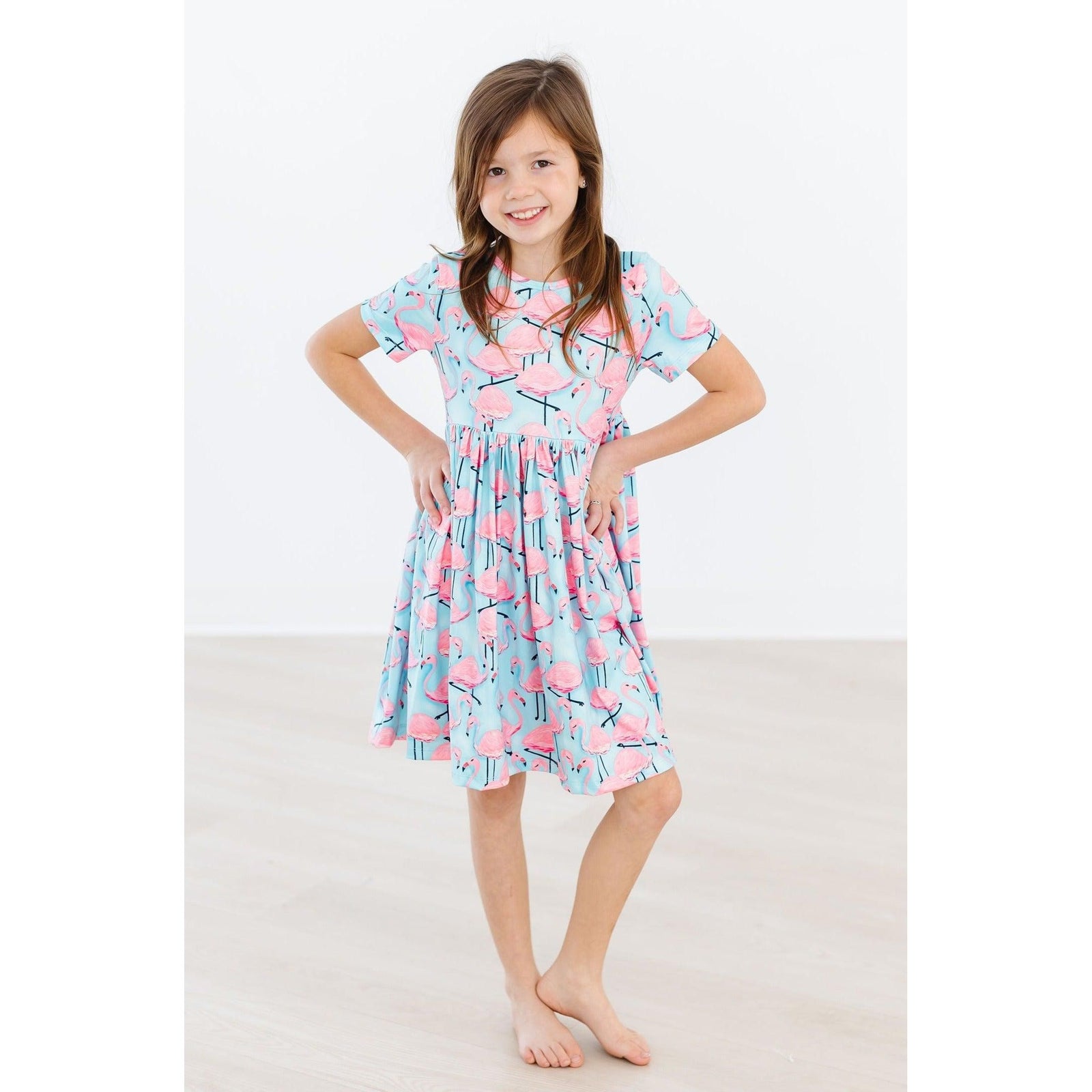 Pretty in Pink Flamingos S/S Pocket Twirl Dress