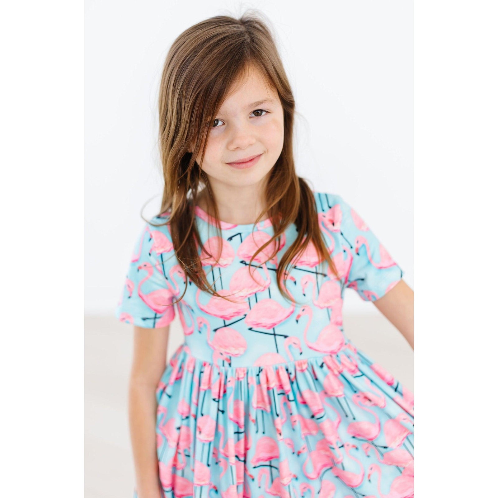 Pretty in Pink Flamingos S/S Pocket Twirl Dress