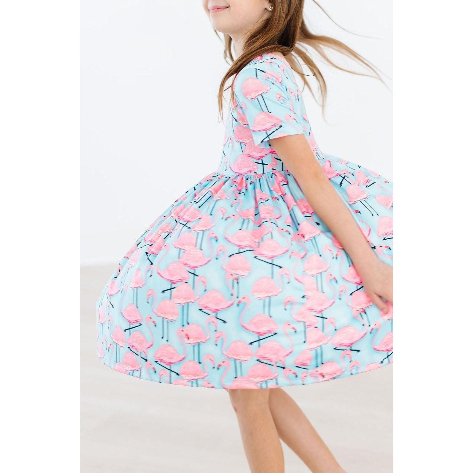 Pretty in Pink Flamingos S/S Pocket Twirl Dress