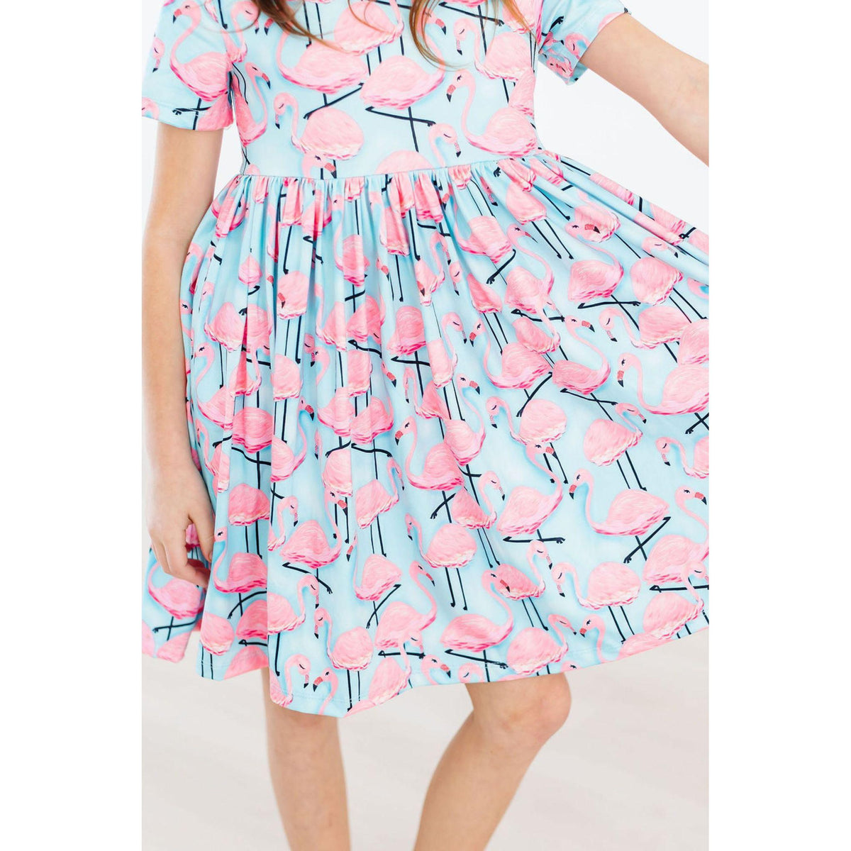 Pretty in Pink Flamingos S/S Pocket Twirl Dress