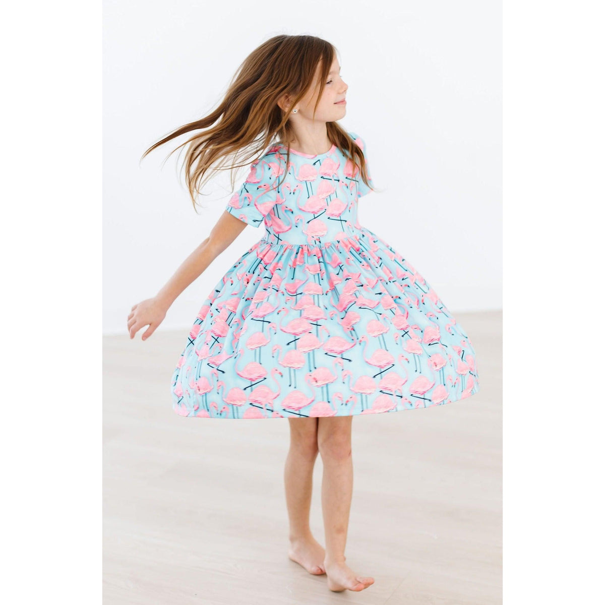Pretty in Pink Flamingos S/S Pocket Twirl Dress