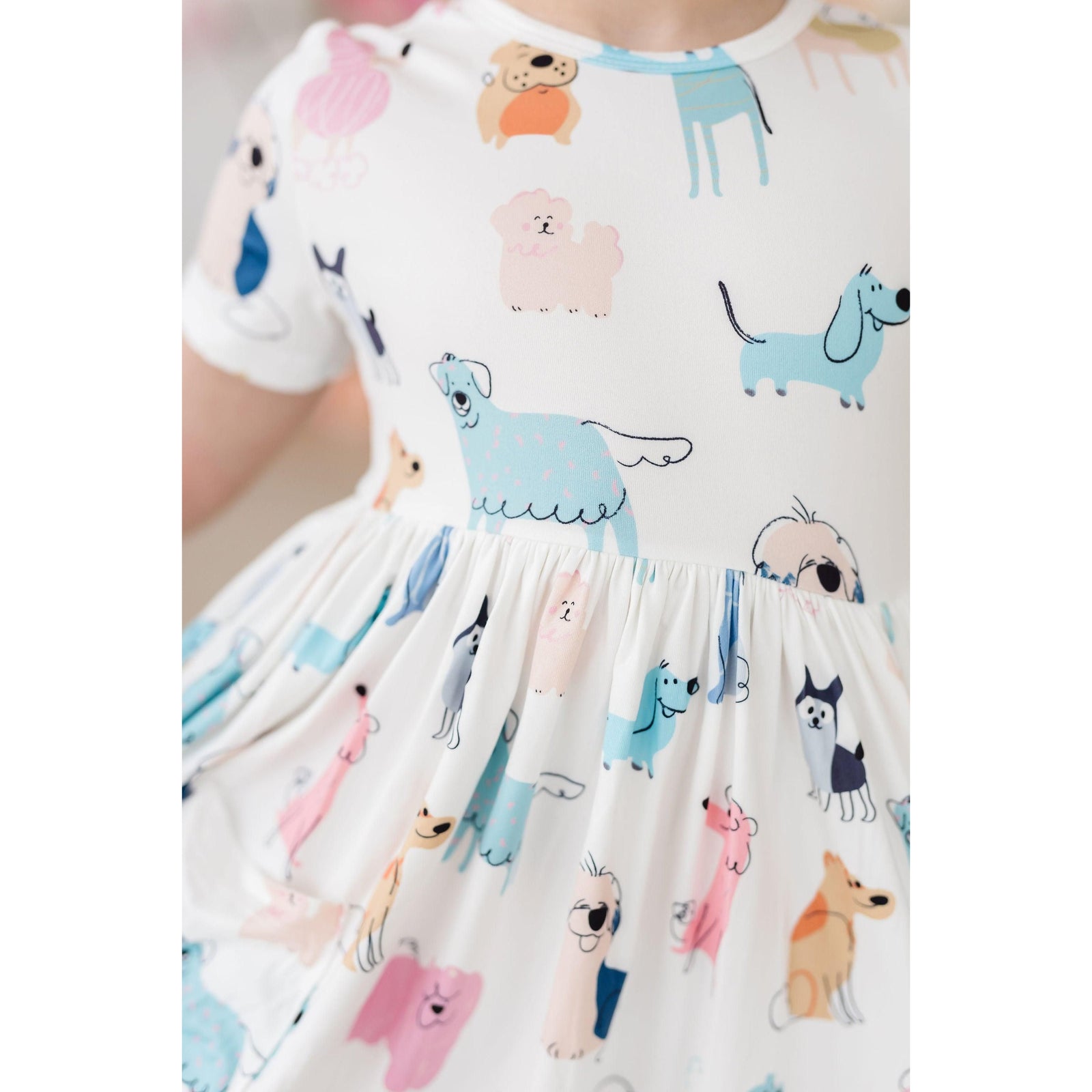 Puppy Pals S/S Pocket Twirl Dress