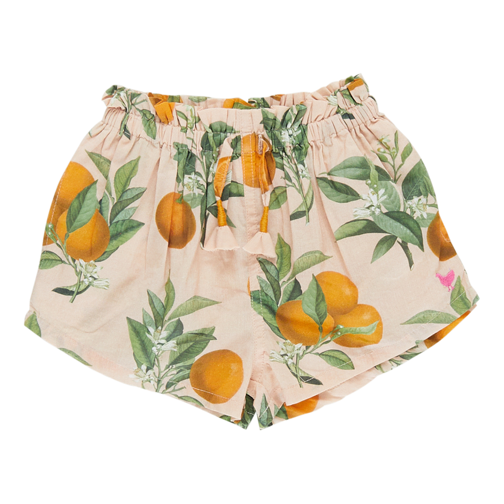 theodore shorts | pink botanical oranges