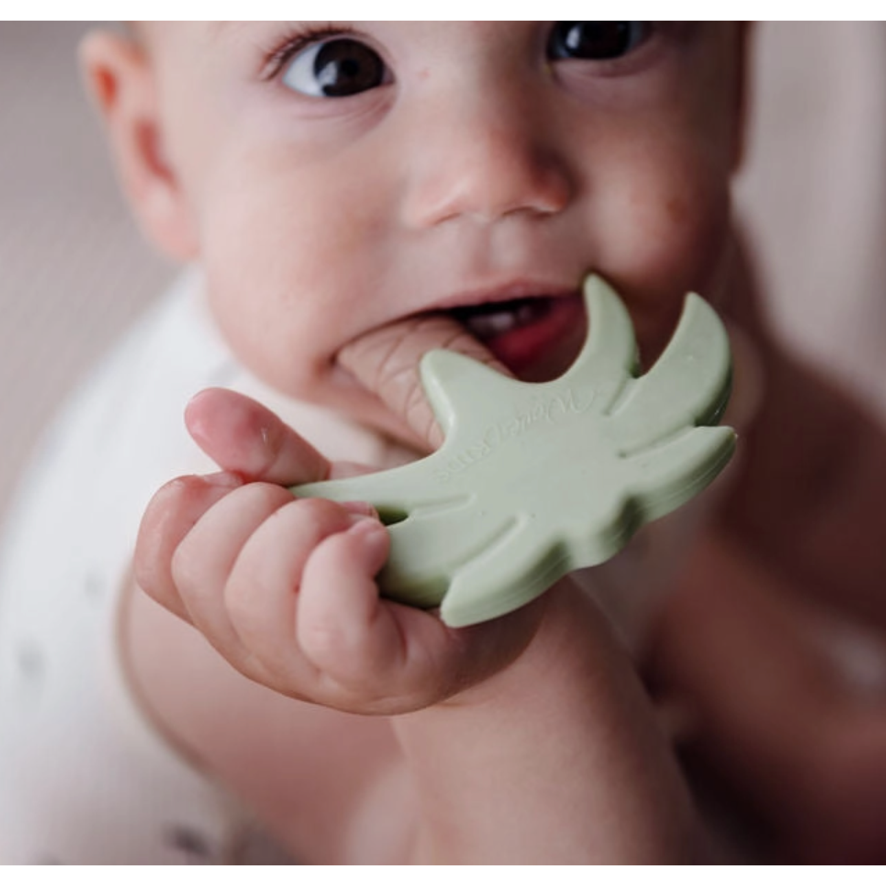 silicone teether | sage palm tree