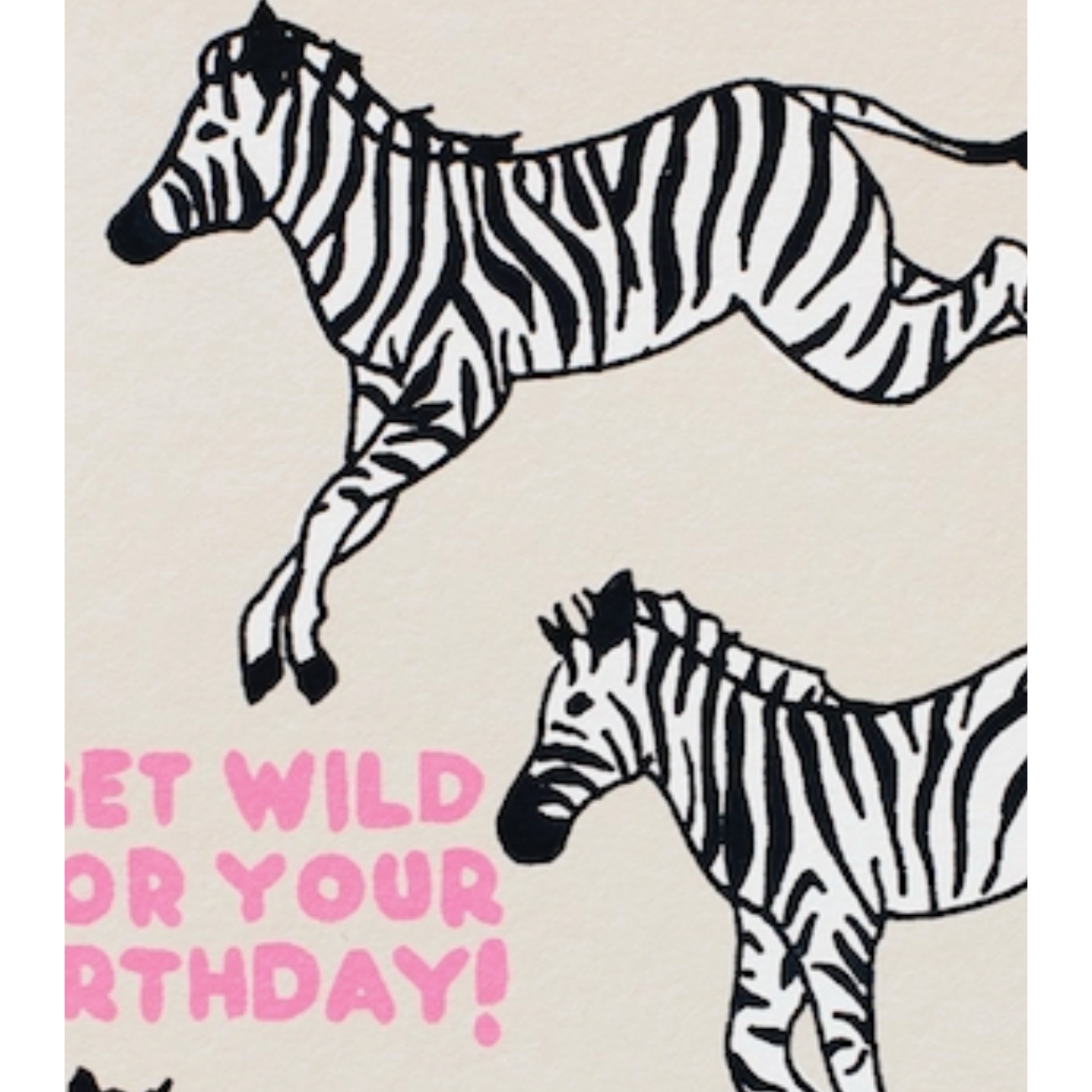zebra animal greeting card