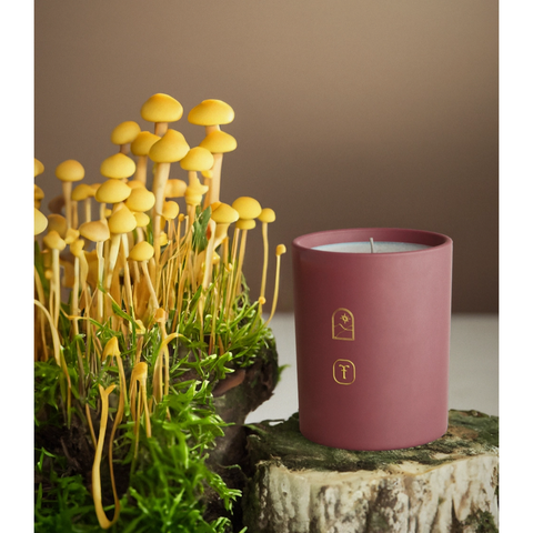 sacred spores scented candle