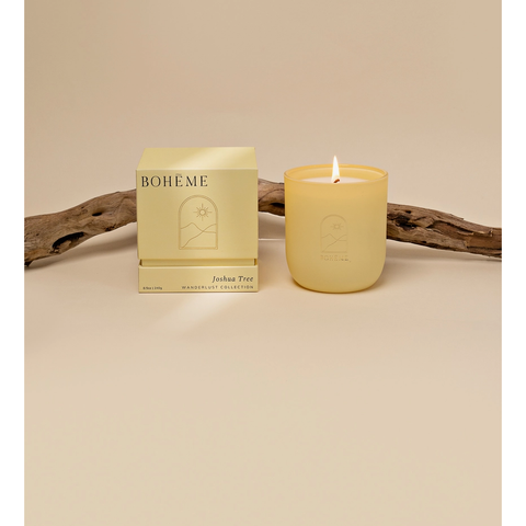 joshua tree scented candle