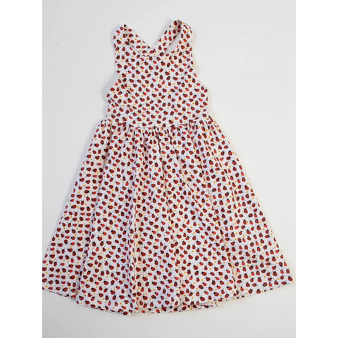 sofia dress | ladybugs