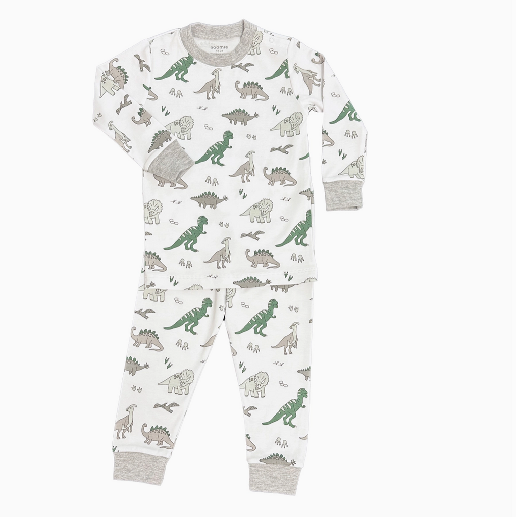 2 piece PJ | dinosaurs