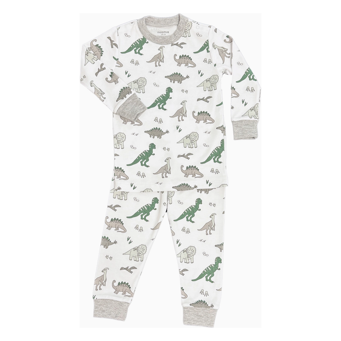 2 piece PJ | dinosaurs