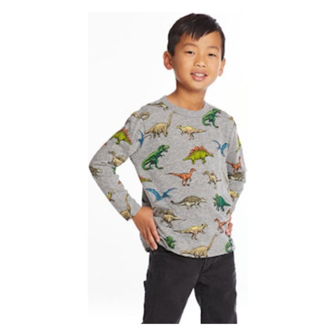 long sleeve crew neck dinosaurs tee