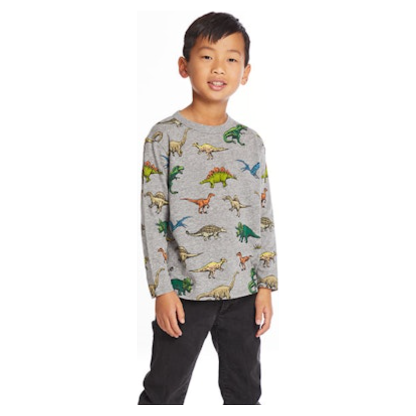 long sleeve crew neck dinosaurs tee