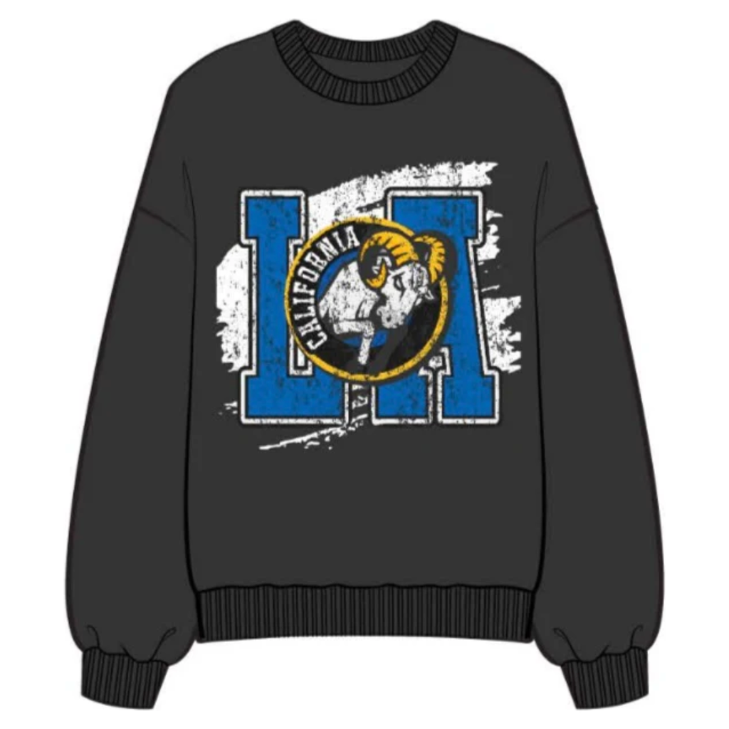 touchdown sweatshirt