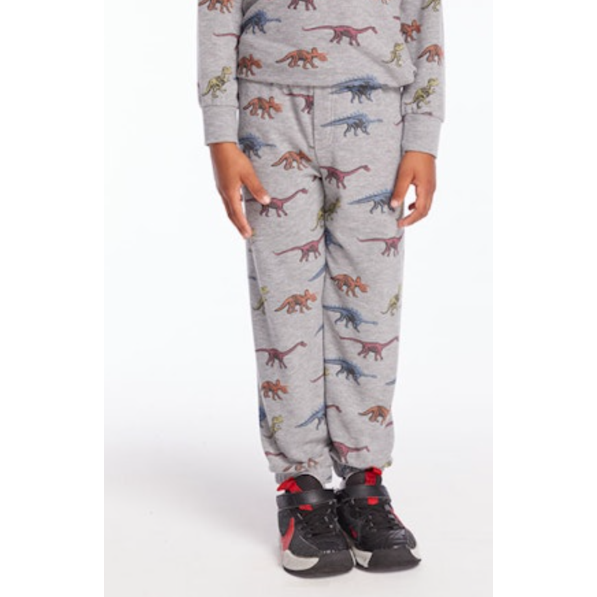 skeleton dinos boys lounge pants