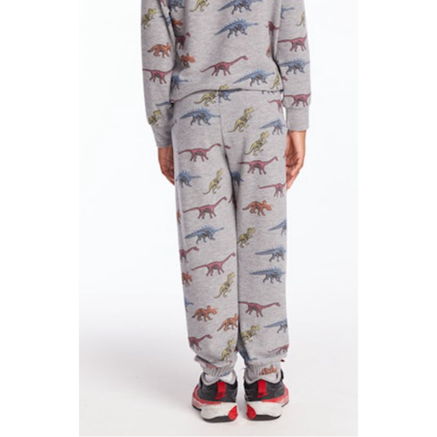 skeleton dinos boys lounge pants