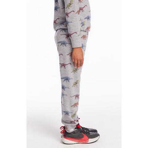 skeleton dinos boys lounge pants