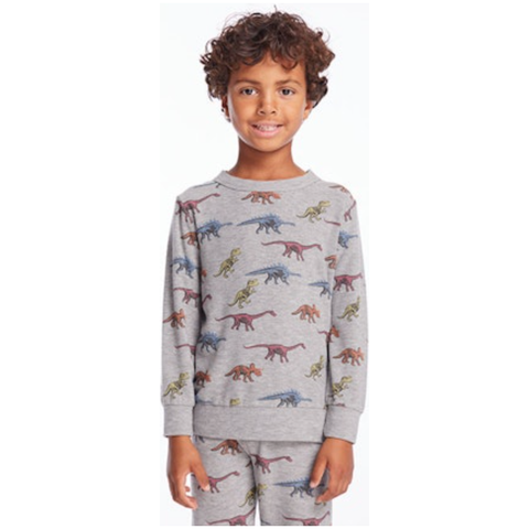 skeleton dinos pullover