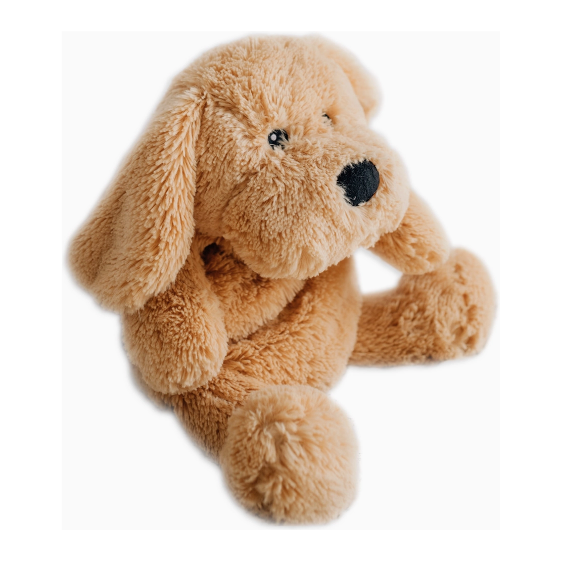 charlie the weighted puppy dog toy