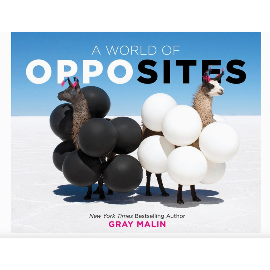 a world of opposites book