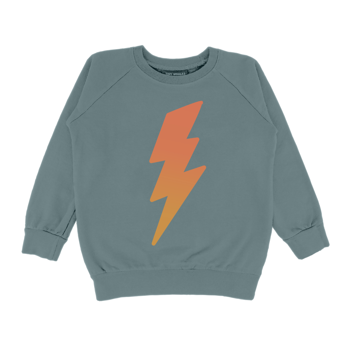 rad power crewneck sweatshirt | lake