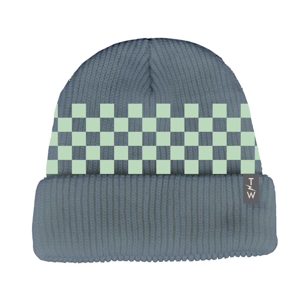 check it beanie | seafoam / navy