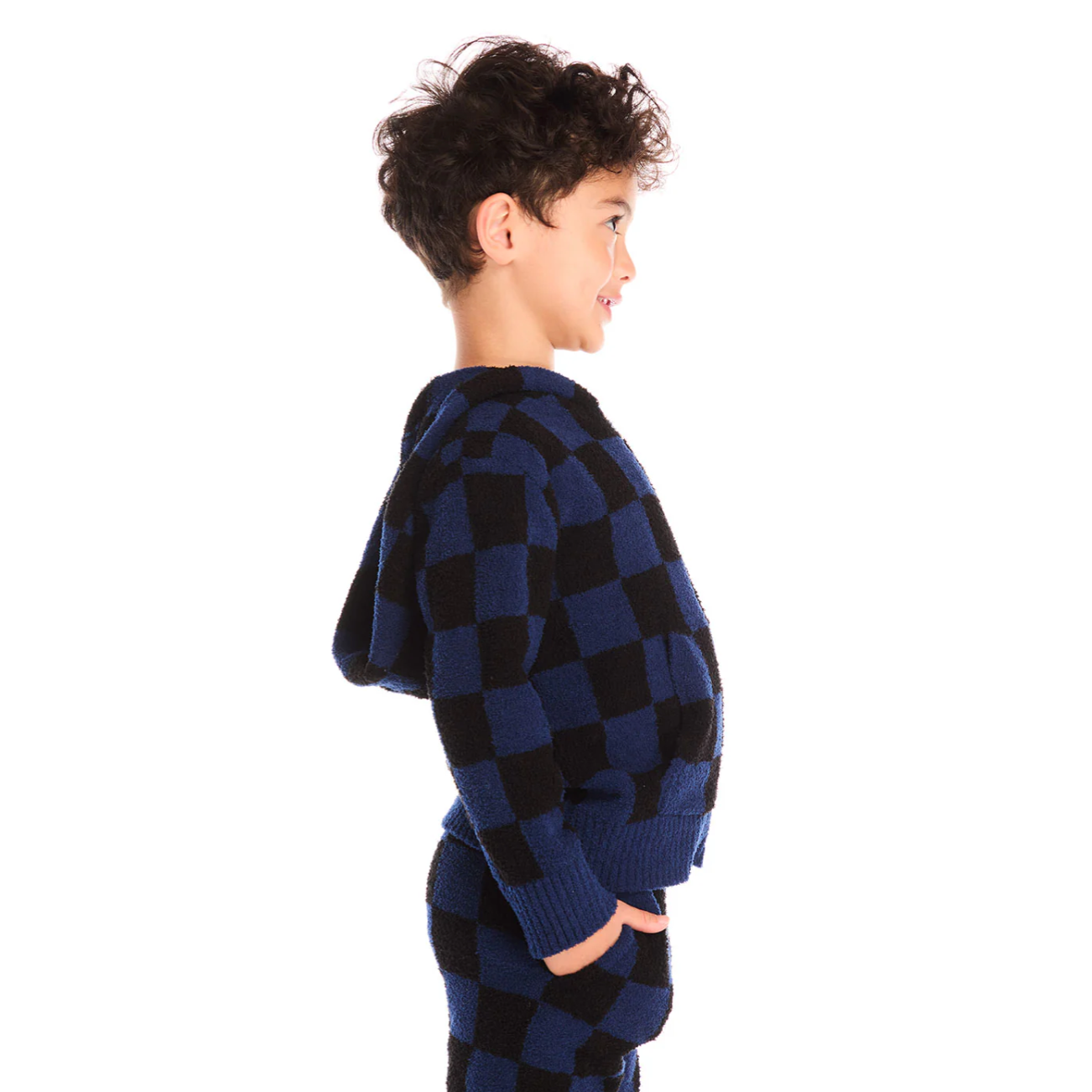 paxton mountain check zip up hoodie